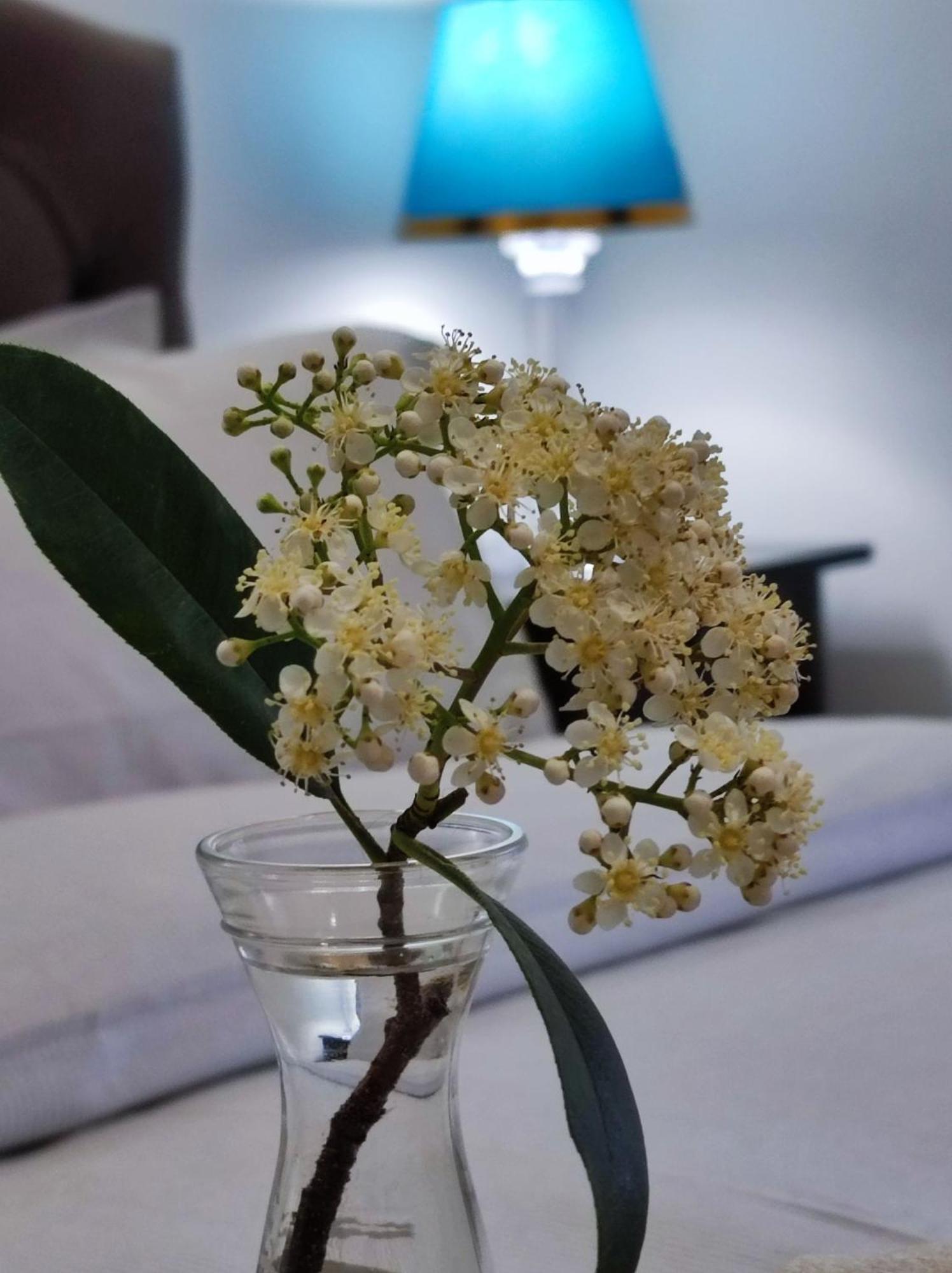 Consoli Home روما المظهر الخارجي الصورة