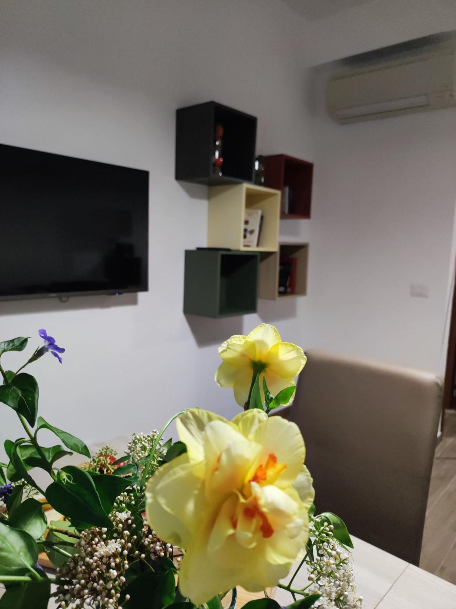 Consoli Home روما المظهر الخارجي الصورة